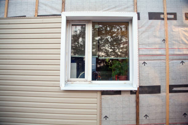 Best Custom Trim and Detailing for Siding  in Fort Valley, GA